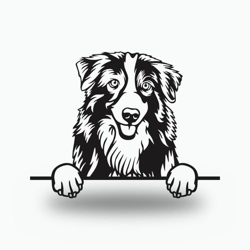 Australian Shepherd Dog Lover Gift Metal Dog Sign — front view on white background