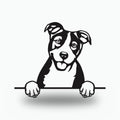 Basenji Dog Lover Gift Metal Dog Sign — front view on white background