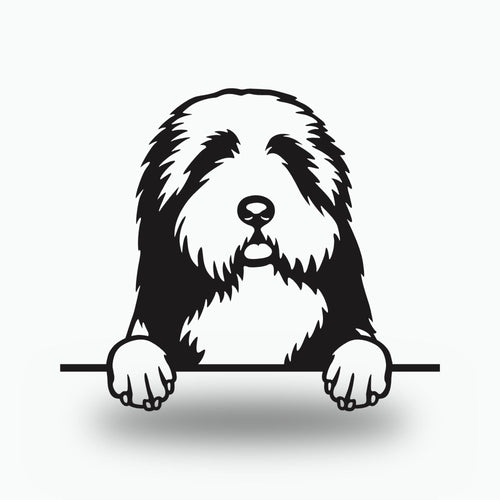 Bearded Collie Dog Lover Gift Metal Dog Sign — front view on white background