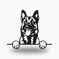 Belgian Malinois Dog Lover Gift Metal Dog Sign — front view on white background