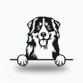 Bernese Mountain Dog Lover Gift Metal Dog Sign — front view on white background