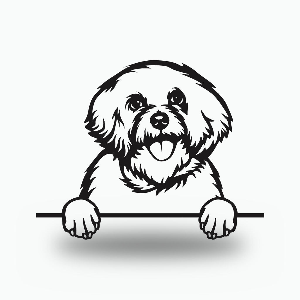 Bichon Frise Dog Lover Gift Metal Dog Sign — front view on white background