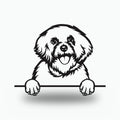 Bichon Frise Dog Lover Gift Metal Dog Sign — front view on white background