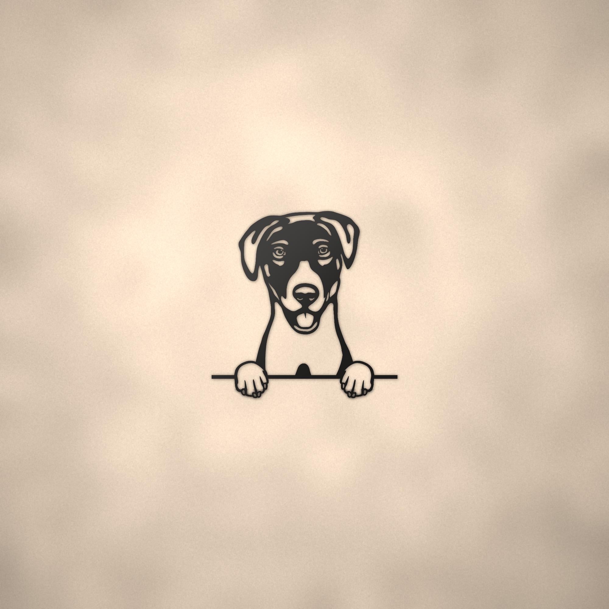 Blue Lacy Dog Lover Gift Metal Dog Sign — lifestyle setting