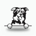 Border Collie Dog Lover Gift Metal Dog Sign — front view on white background
