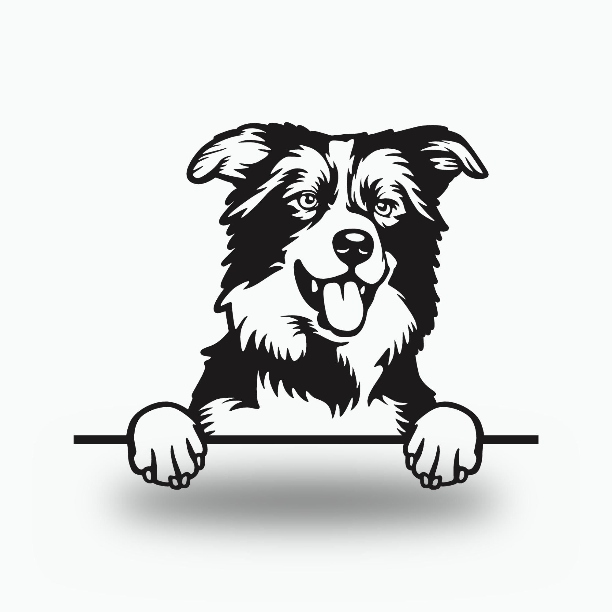 Border Collie Dog Lover Gift Metal Dog Sign — front view on white background