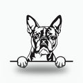 Boston Terrier Dog Lover Gift Metal Dog Sign — front view on white background