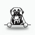 Bull Mastiff Dog Lover Gift Metal Dog Sign — front view on white background