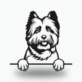 Cairn Terrier Dog Lover Gift Metal Dog Sign — front view on white background