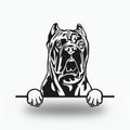 Cane Corso Dog Lover Gift Metal Dog Sign — front view on white background