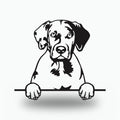 Catahoula Dog Lover Gift Metal Dog Sign — front view on white background