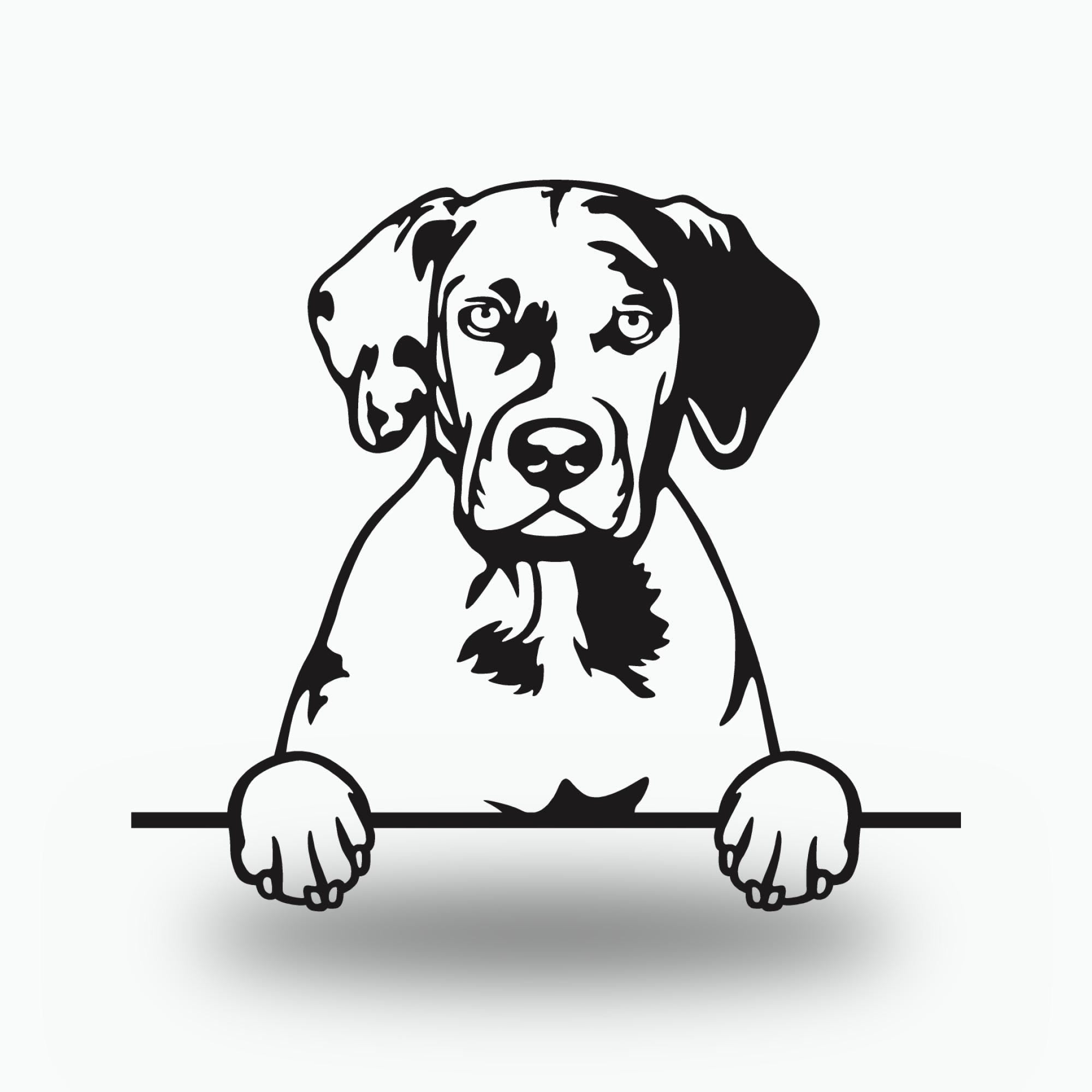 Catahoula Dog Lover Gift Metal Dog Sign — front view on white background