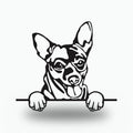 Chihuahua Dog Lover Gift Metal Dog Sign — front view on white background