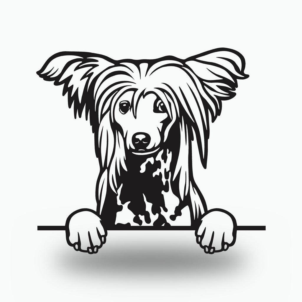 Chinese Crested Dog Lover Gift Metal Dog Sign — front view on white background