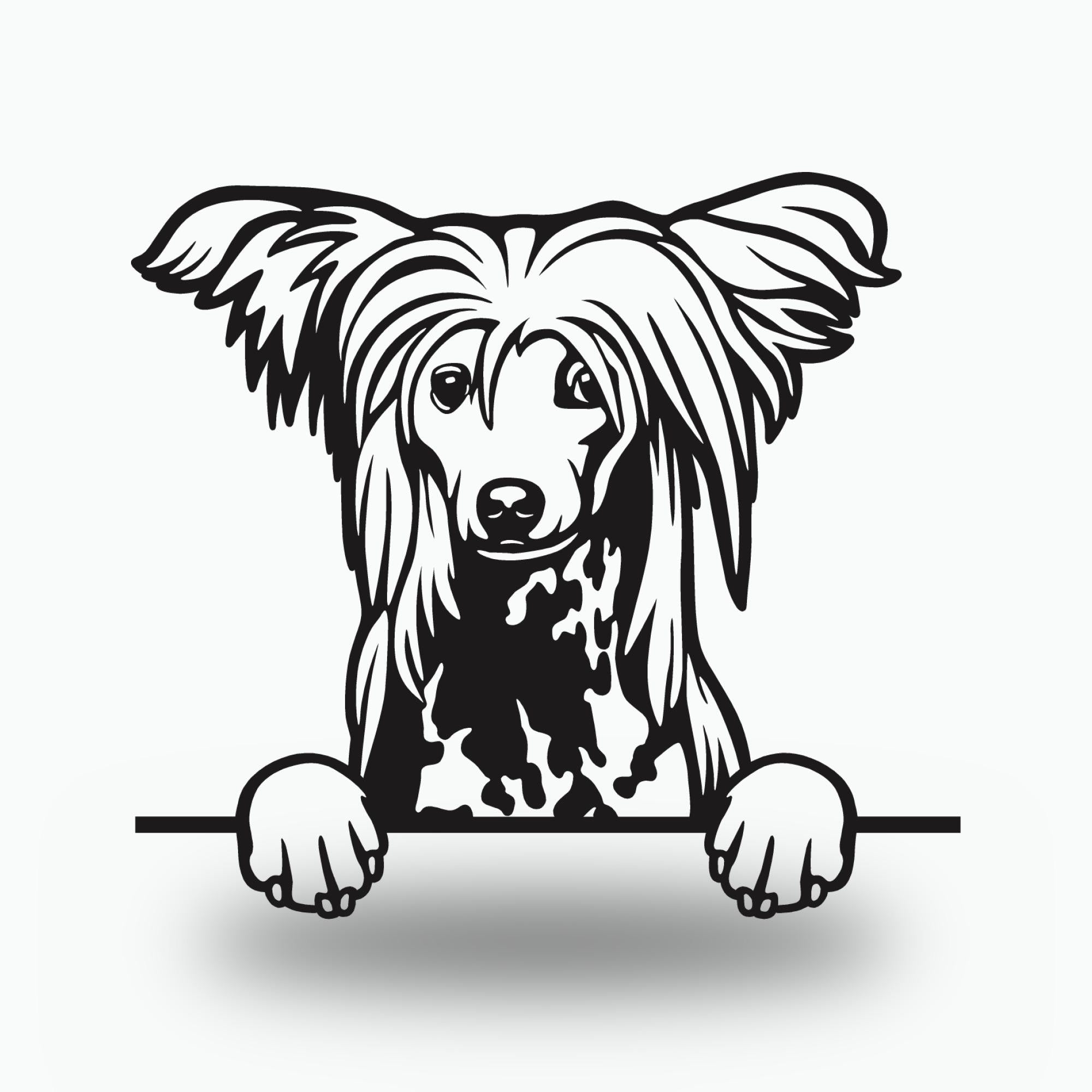 Chinese Crested Dog Lover Gift Metal Dog Sign — front view on white background
