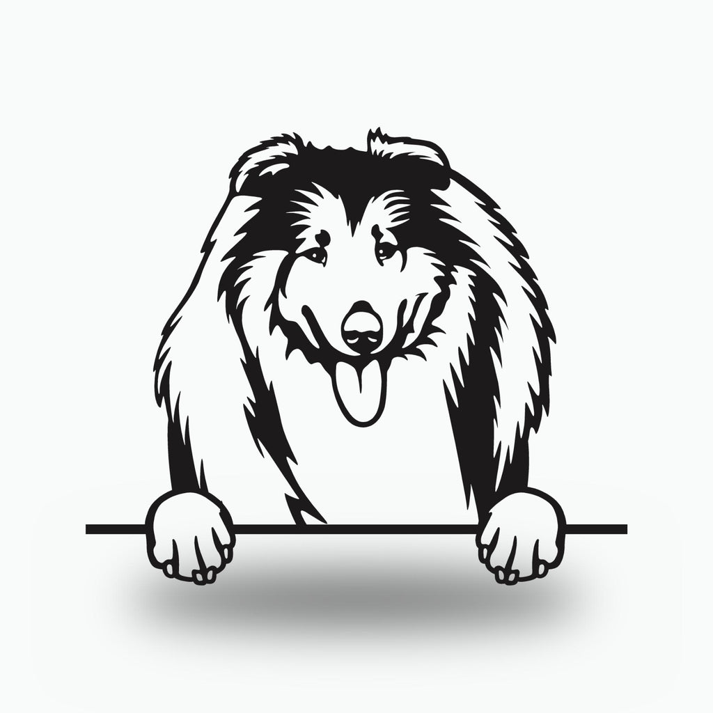 Collie Dog Lover Gift Metal Dog Sign — front view on white background