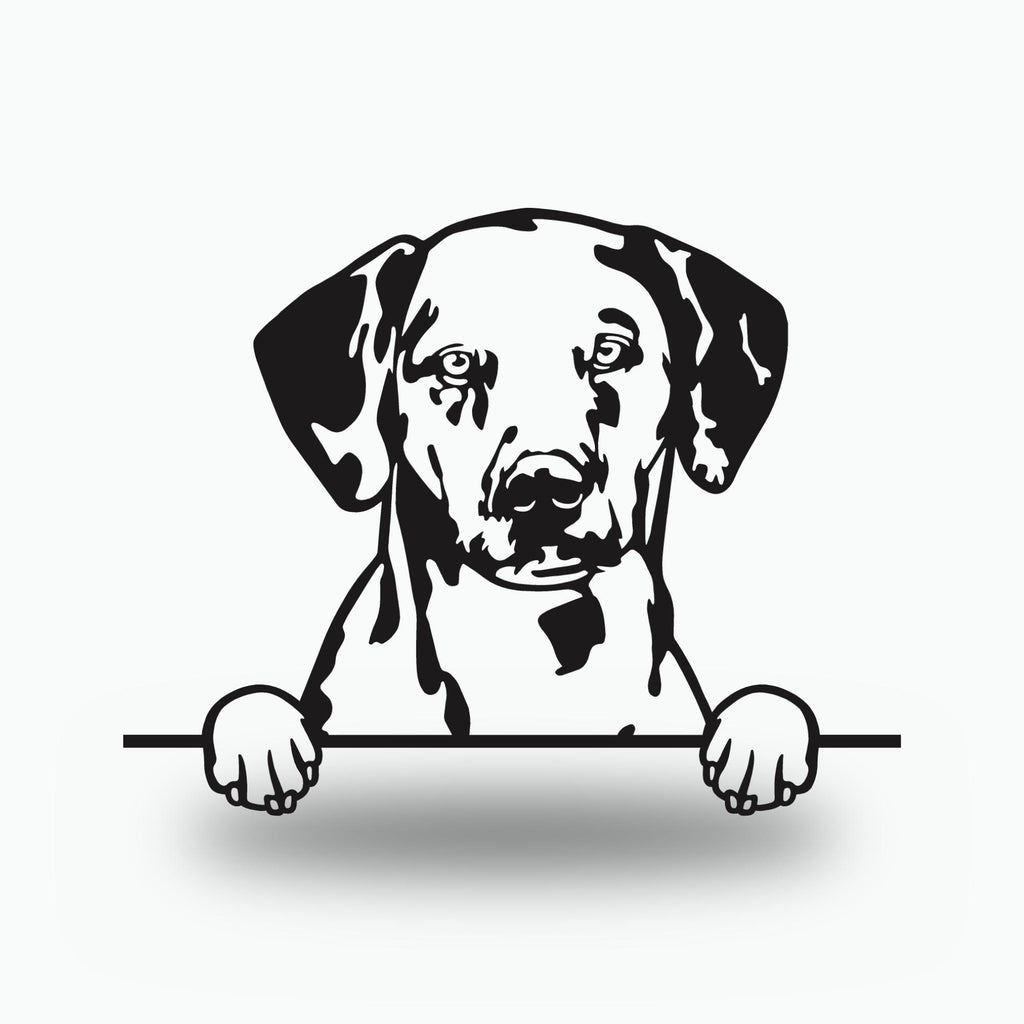 Dalmatian Dog Lover Gift Metal Dog Sign — front view on white background