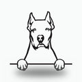 Dogo Argentino Dog Lover Gift Metal Dog Sign — front view on white background