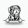 Dogue de Bordeaux Dog Lover Gift Metal Dog Sign — front view on white background
