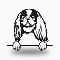 English Toy Spaniel Dog Lover Gift Metal Dog Sign — front view on white background