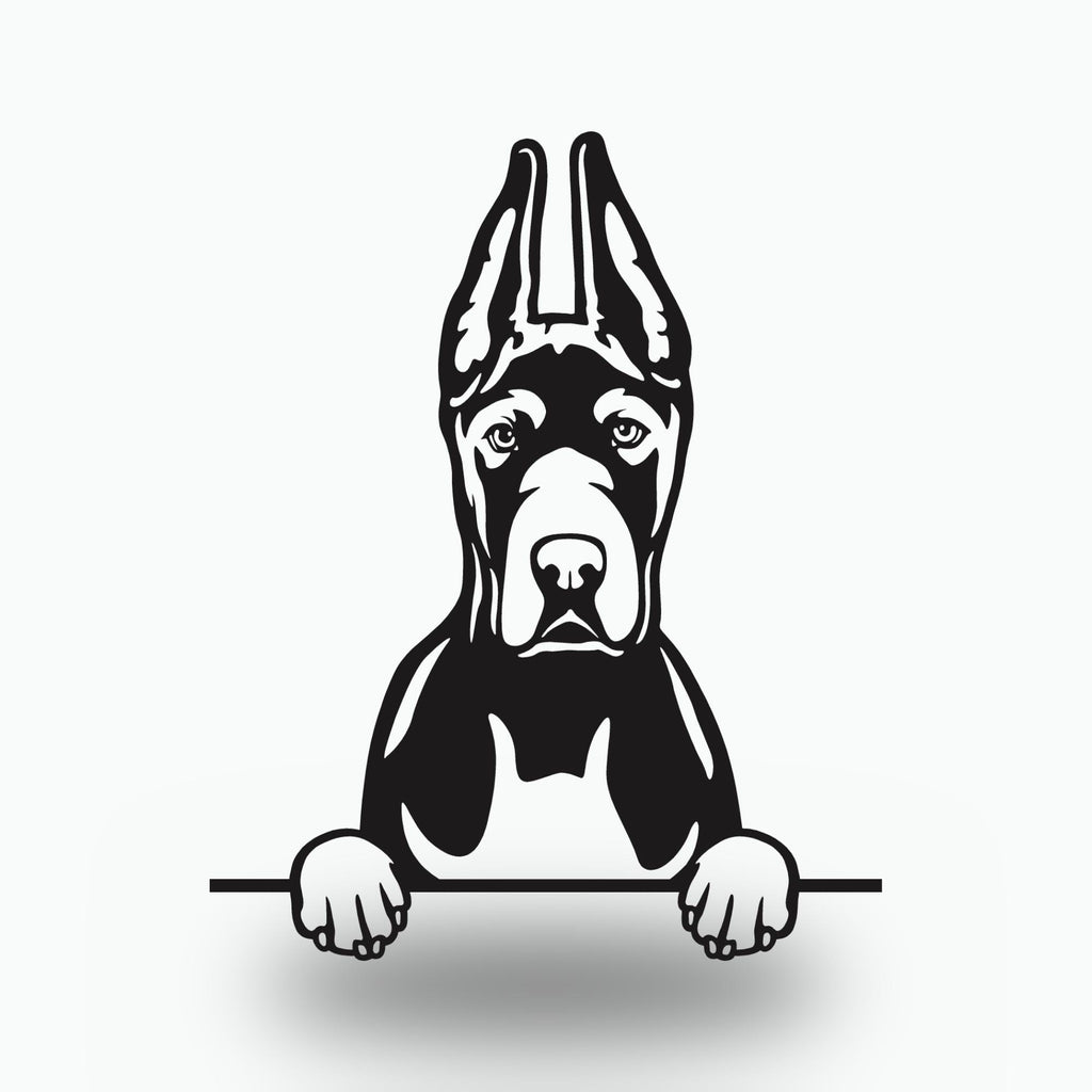 Great Dane Cropped Ears Dog Lover Gift Metal Dog Sign — front view on white background