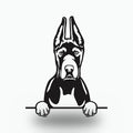 Great Dane Cropped Ears Dog Lover Gift Metal Dog Sign — front view on white background