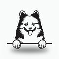 Icelandic Sheepdog Dog Lover Gift Metal Dog Sign — front view on white background