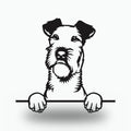 Irish Terrier Dog Lover Gift Metal Dog Sign — front view on white background