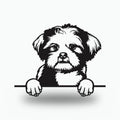 Lhasa Apso Dog Lover Gift Metal Dog Sign — front view on white background