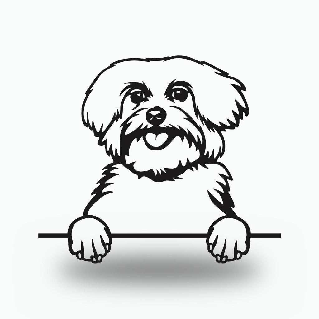 Maltese Dog Lover Gift Metal Dog Sign — front view on white background