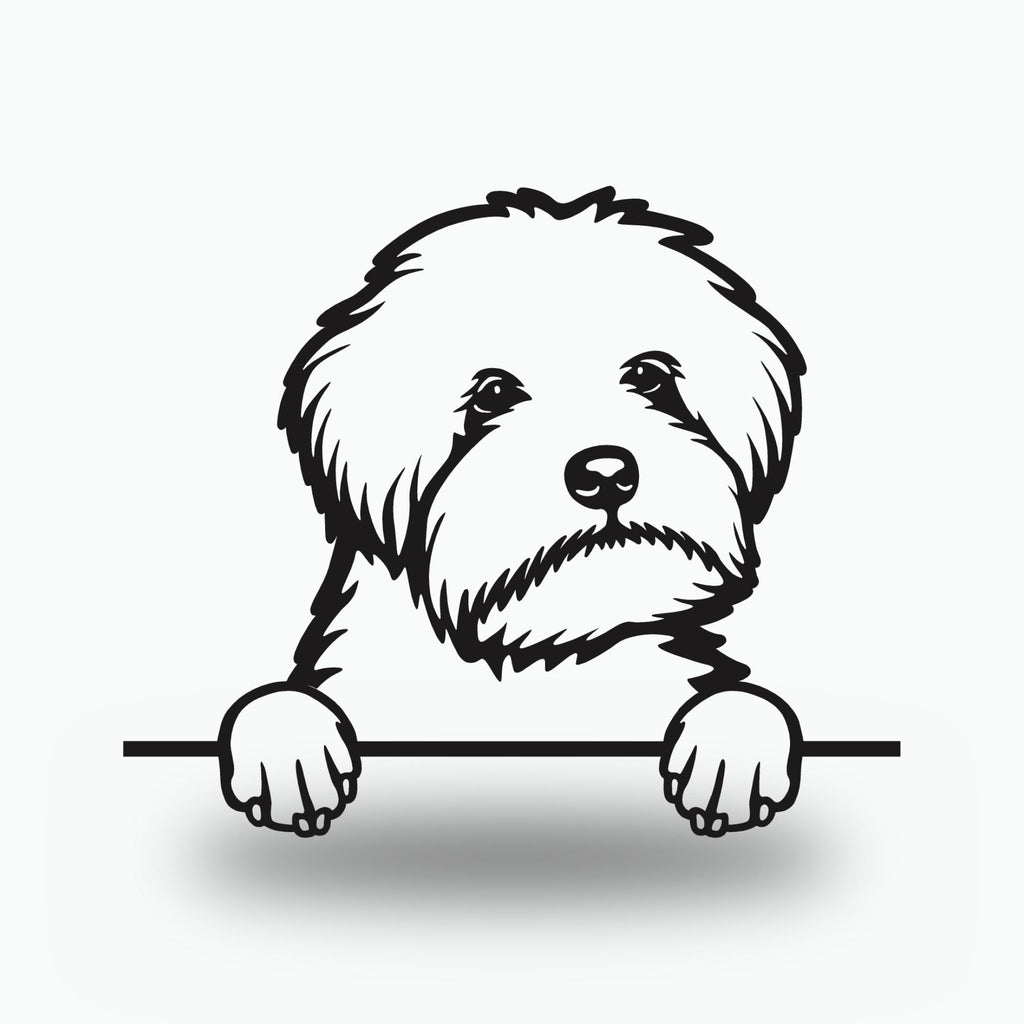 Maltipoo Dog Lover Gift Metal Dog Sign — front view on white background
