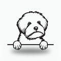 Maltipoo Dog Lover Gift Metal Dog Sign — front view on white background