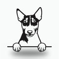 Miniature Bull Terrier Dog Lover Gift Metal Dog Sign — front view on white background