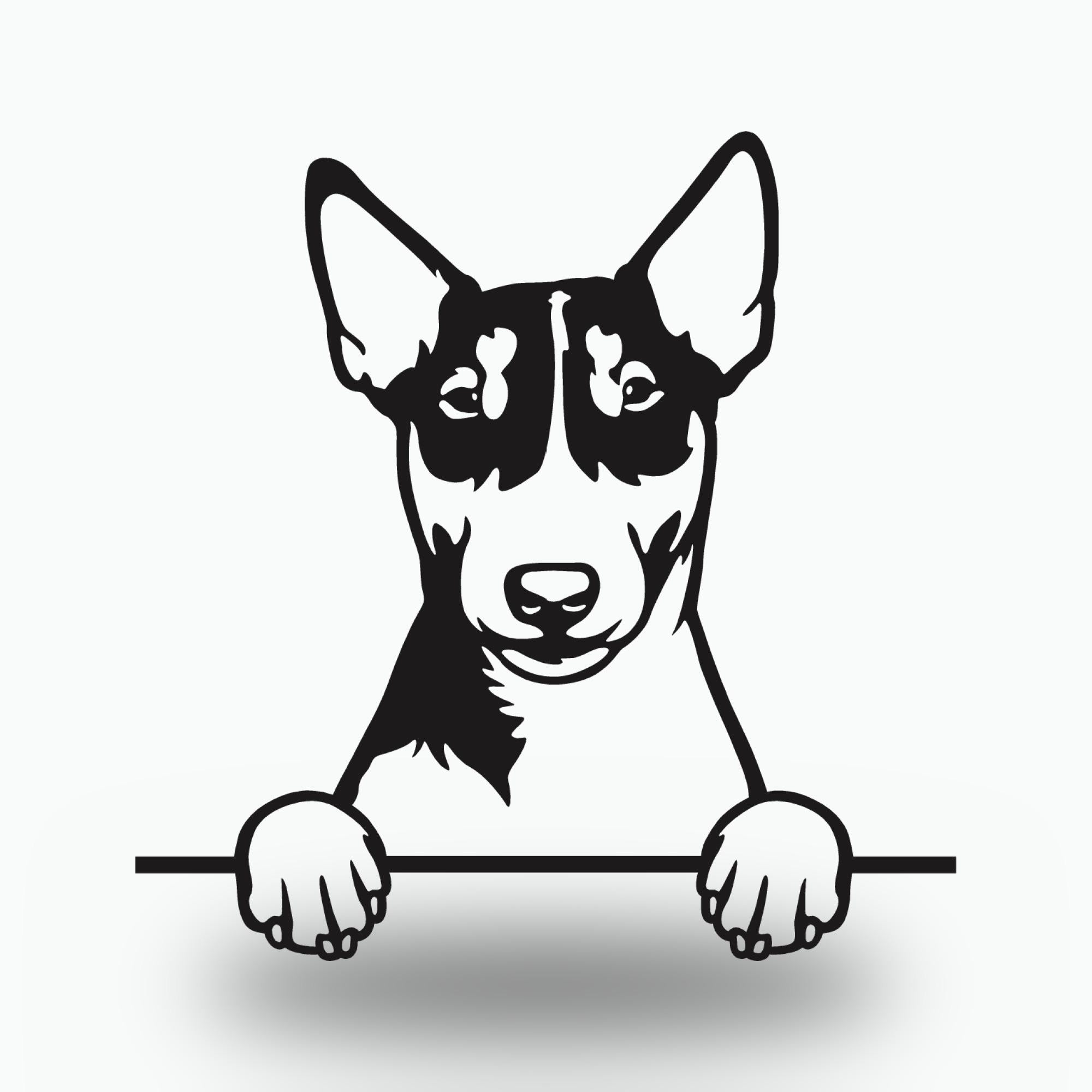 Miniature Bull Terrier Dog Lover Gift Metal Dog Sign — front view on white background