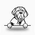 Neapolitan Mastiff Dog Lover Gift Metal Dog Sign — front view on white background