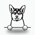Norwegian Lundehund Dog Lover Gift Metal Dog Sign — front view on white background