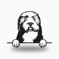 Old English Sheepdog Dog Lover Gift Metal Dog Sign — front view on white background