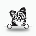 Papillon Dog Lover Gift Metal Dog Sign — front view on white background