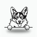Pembroke Welsh Corgi Dog Lover Gift Metal Dog Sign — front view on white background