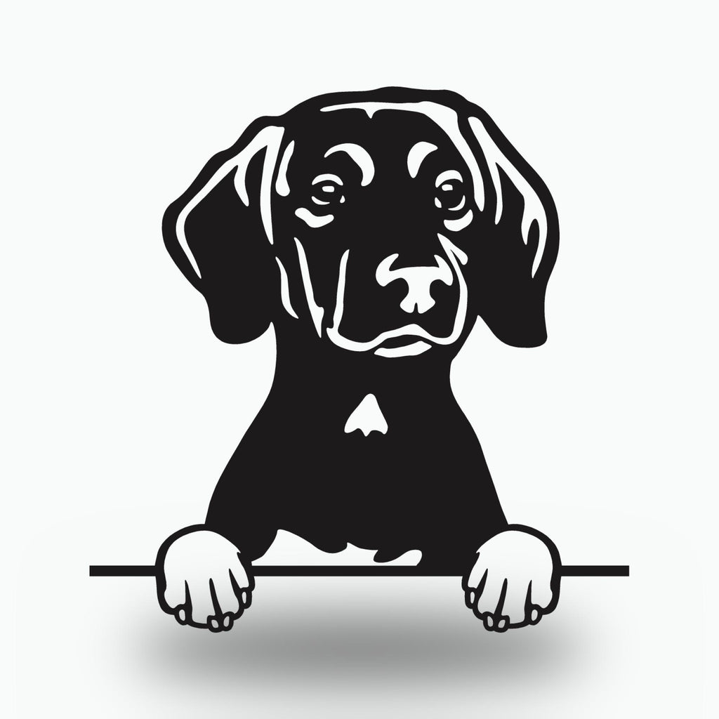 Plott Hound Dog Lover Gift Metal Dog Sign — front view on white background