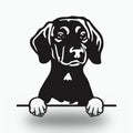 Plott Hound Dog Lover Gift Metal Dog Sign — front view on white background