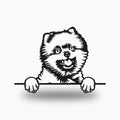 Pomeranian Dog Lover Gift Metal Dog Sign — front view on white background