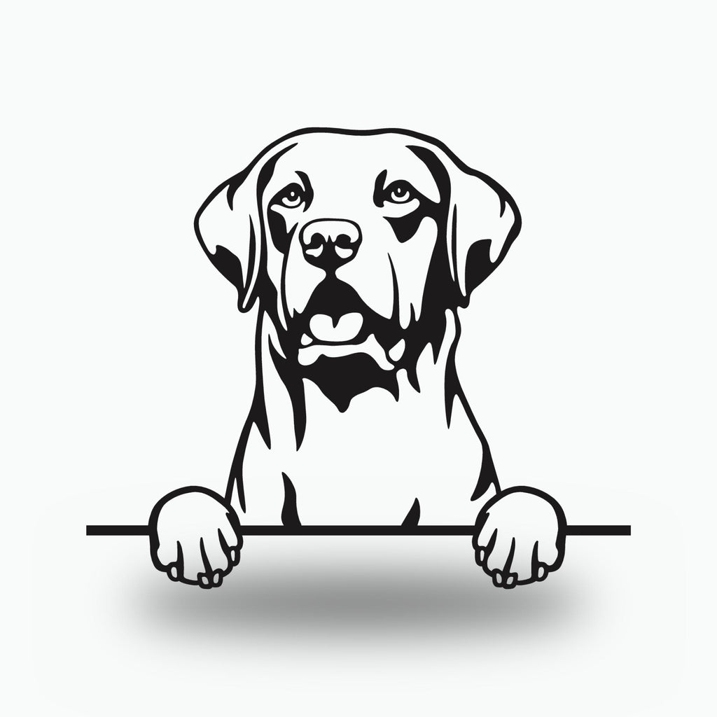 Chesapeake Bay Retriever Dog Lover Gift Metal Dog Sign — front view on white background