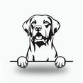 Chesapeake Bay Retriever Dog Lover Gift Metal Dog Sign — front view on white background