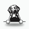 Flat-Coated Retriever Dog Lover Gift Metal Dog Sign — front view on white background