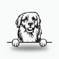 Golden Retriever Dog Lover Gift Metal Dog Sign — front view on white background