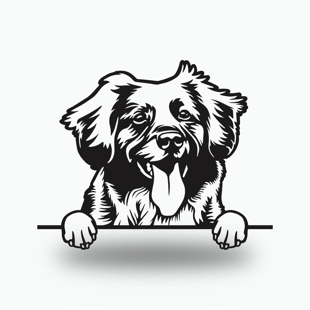Nova Scotia Duck Tolling Retriever Dog Lover  Metal Dog Sign — front view on white background