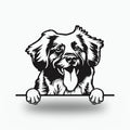 Nova Scotia Duck Tolling Retriever Dog Lover  Metal Dog Sign — front view on white background