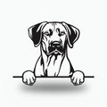 Rhodesian Ridgeback Dog Lover Gift Metal Dog Sign — front view on white background