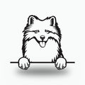 Samoyed Dog Lover Gift Metal Dog Sign — front view on white background